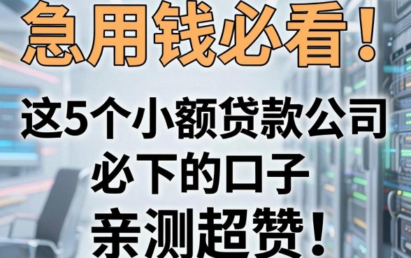 急用钱必看！这5个小额贷款公司必下的口子，亲测超赞！