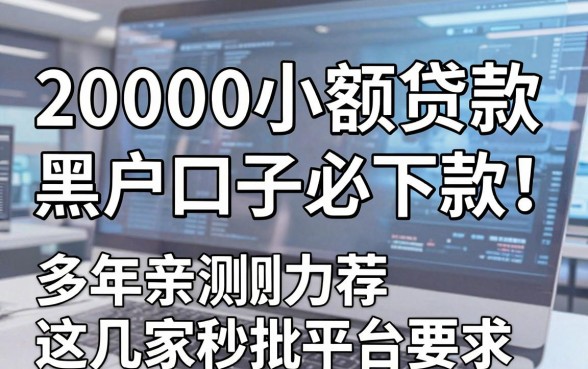20000小额贷款黑户口子必下款！多年亲测力荐这几家秒批平台