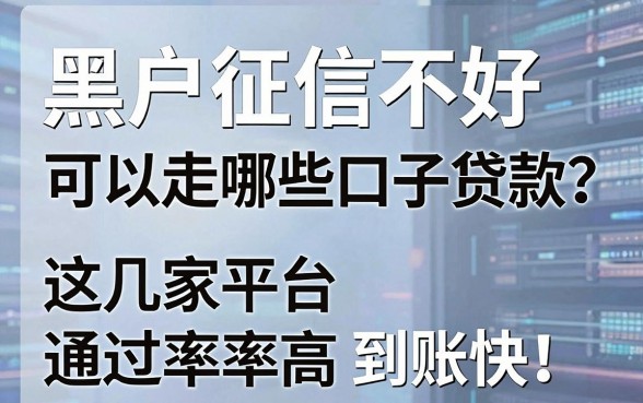 黑户征信不好可以走哪些口子贷款?这几家平台通过率高到账快!