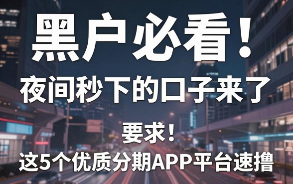 黑户必看！夜间秒下的口子来了，这5个优质分期APP平台速撸