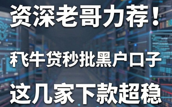 资深老哥力荐!和飞牛贷秒批黑户口子,这几家下款超稳!