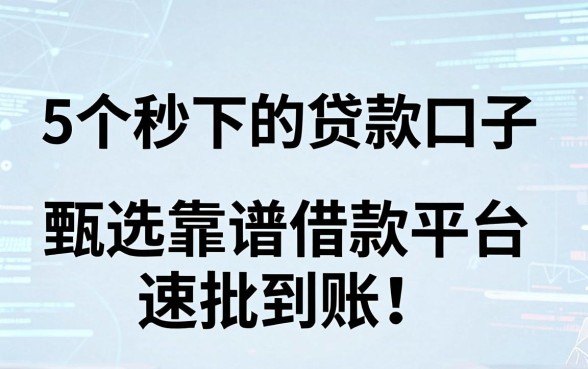 5个秒下的贷款口子,甄选靠谱借款平台速批到账!