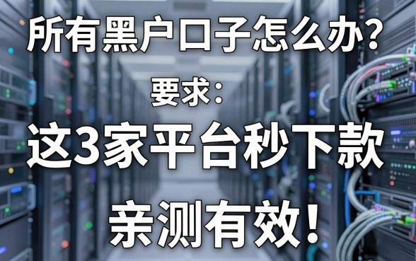 所有黑户口子怎么办？这3家平台秒下款，亲测有效！