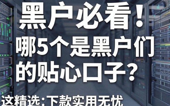 黑户必看!哪5个是黑户们的贴心口子?精选这几家平台,下款实用无忧!