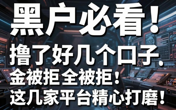 黑户必看!撸了好几个口子全被拒,这几家平台精心打磨,亲测实用满分!
