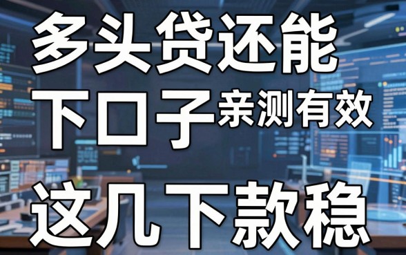 多头贷还能下的口子亲测有效,这几家下款稳!