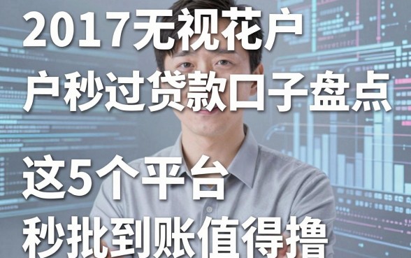 2017无视花户户秒过贷款口子盘点,这5个平台秒批到账值得撸!