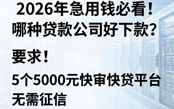 2026年急用钱必看!哪种贷款公司好下款?这5个5000元快审快贷平台无需征信