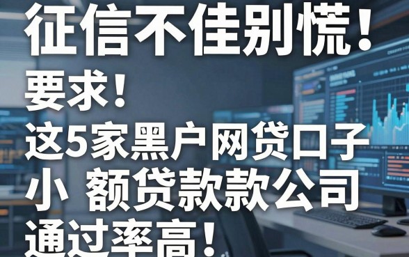 征信不佳别慌!这5家黑户网贷口子小额贷款公司通过率高