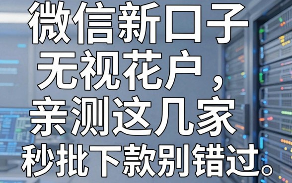 微信新口子无视花户，亲测这几家秒批下款别错过！