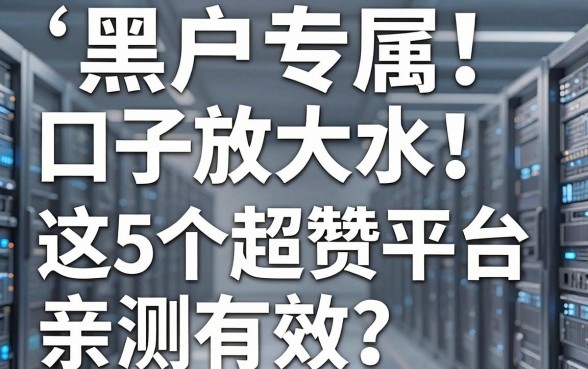 黑户专属口子放大水!这5个超赞平台亲测有效,速撸