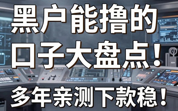 黑户能撸的口子大盘点!多年亲测这几家下款稳