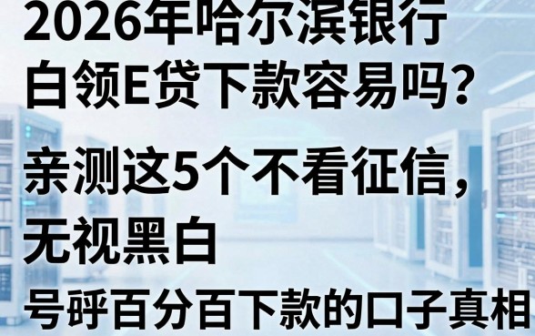 2026年哈尔滨银行白领E贷下款容易吗？亲测这5个不看征信、无视黑白、号称百分百下款的口子真相