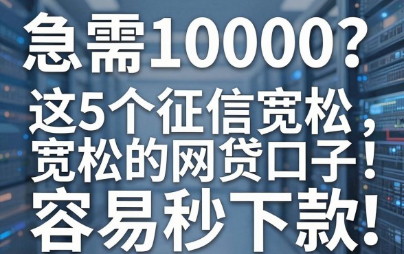 急需10000？这5个征信宽松的网贷口子，容易秒下款！