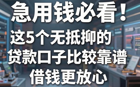 急用钱必看!这5个无抵押的贷款口子比较靠谱,借钱更放心