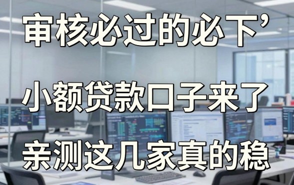 审核必过的必下小额贷款口子来了,亲测这几家真的稳!