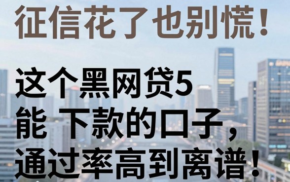 征信花了也别慌!这5个黑网贷能下款的口子,通过率高到离谱