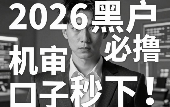 无视黑白，机审秒下！2026黑户必撸口子合集