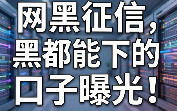 网黑征信黑都能下的口子曝光!亲测这几家真的不容错过