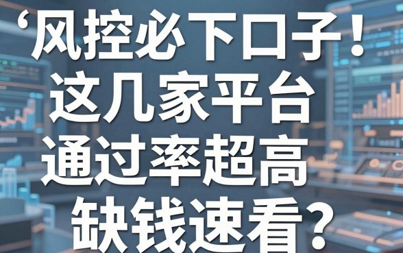 风控必下口子盘点！这几家平台通过率超高，缺钱速看