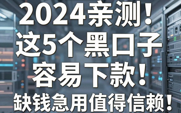 2024亲测！这5个黑口子容易下款，缺钱急用值得信赖！