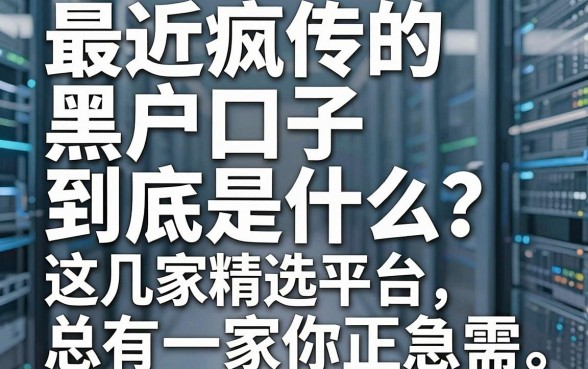最近疯传的黑户口子到底是什么?这几家精选平台,总有一家你正急需!