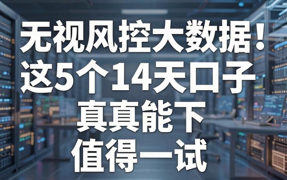 无视风控大数据!这5个14天口子真能下,值得一试!