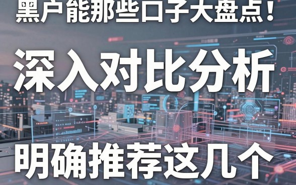 黑户能那些口子大盘点!深入对比分析,明确推荐这几个