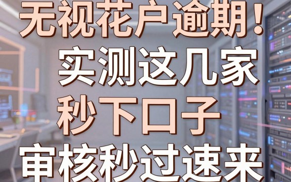 无视花户逾期！实测这几家秒下口子，审核秒过速来