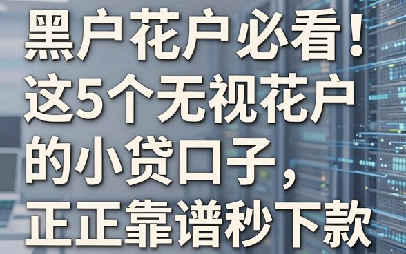 黑户花户必看!这5个无视花户的小贷口子,正规靠谱秒下款