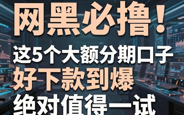 网黑必撸!这5个大额分期口子好下款到爆,绝对值得一试!