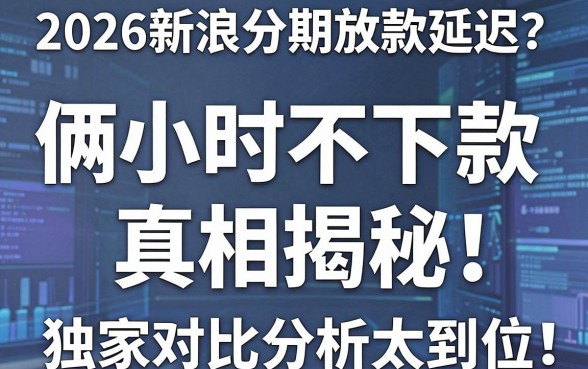2026新浪分期放款延迟?俩小时不下款真相揭秘,独家对比分析太到位!