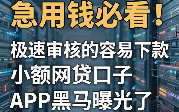 急用钱必看!这几家极速审核的容易下款的小额网贷口子APP黑马曝光了
