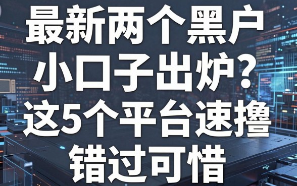最新两个黑户小口子出炉，这5个平台速撸，错过可惜！