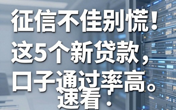 征信不佳别慌!这5个新贷款口子通过率高,速看