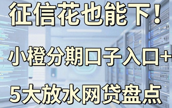 征信花也能下!小橙分期口子入口+5大放水网贷盘点