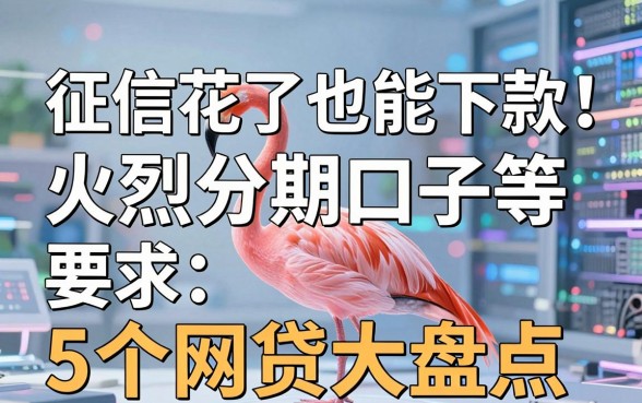 征信花了也能下款!火烈鸟分期口子等5个网贷大盘点