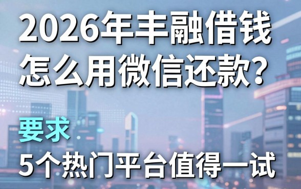 2026年丰融借钱怎么用微信还款?这5个热门平台值得一试