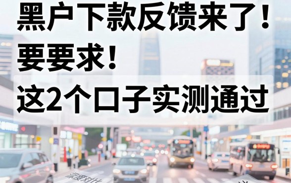 黑户下款反馈来了!这2个口子实测通过,深度对比秒懂