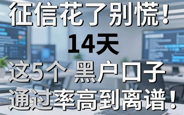 征信花了别慌!这5个14天黑户口子通过率高到离谱