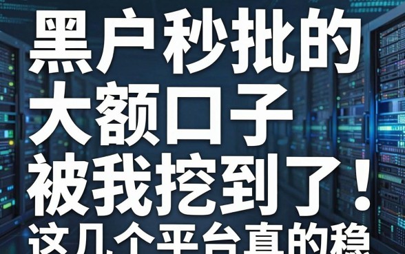 黑户秒批的大额口子被我挖到了!这几个平台真的稳