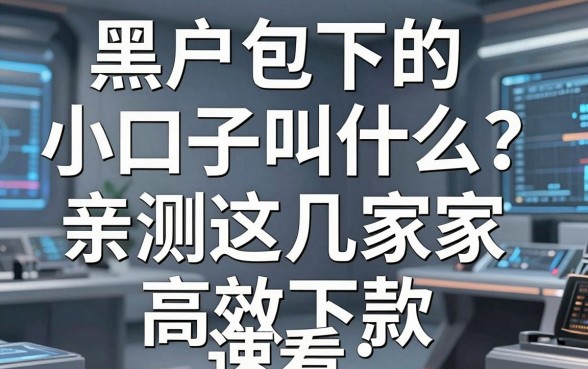 黑户包下的小口子叫什么？亲测这几家高效下款，速看！