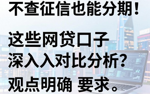 不查征信也能分期!这些网贷口子深入对比分析,观点明确