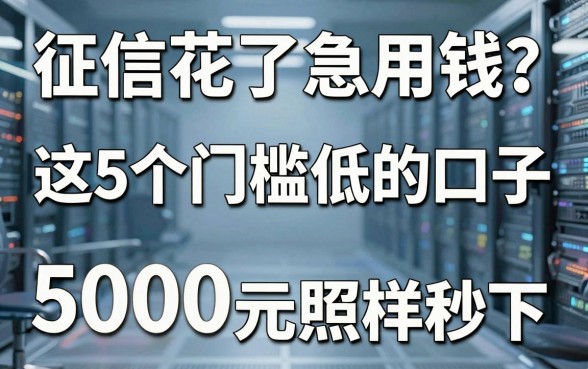 征信花了急用钱?这5个门槛低的口子,5000元照样秒下!