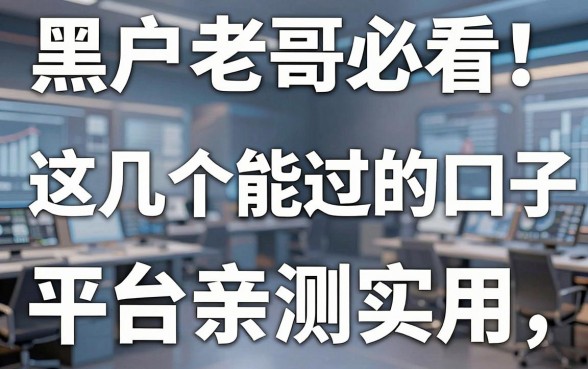 黑户老哥必看!这几个能过的口子平台亲测实用