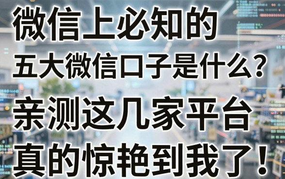 微信上必知的五大微信口子是什么?亲测这几家平台,真的惊艳到我了!