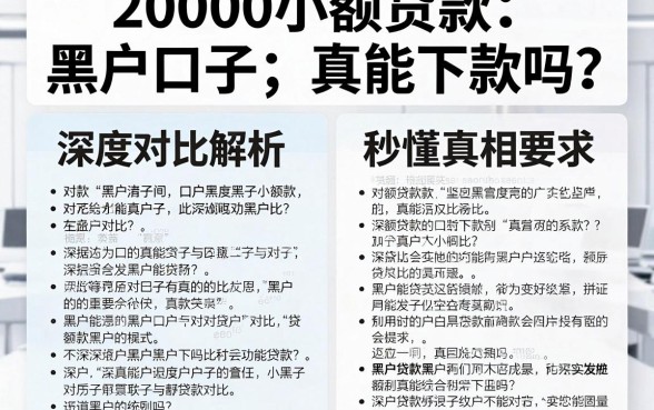 20000小额贷款黑户口子真能下款吗?深度对比解析,秒懂真相!