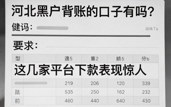 河北黑户背账的口子有吗?这几家平台下款表现惊人!