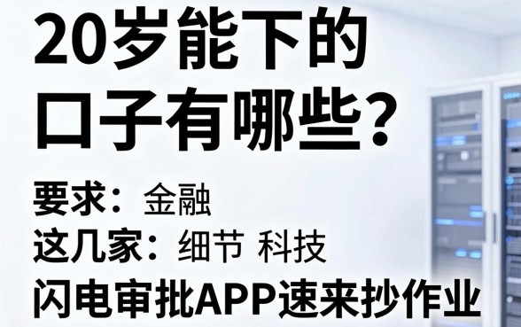 20岁能下的口子有哪些?这几家闪电审批APP速来抄作业!