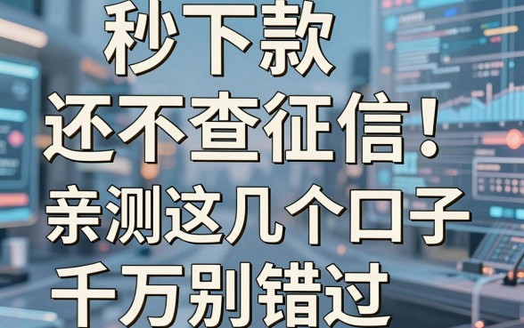 秒下款还不查征信!亲测这几个口子千万别错过